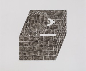 11343 - Καπνίσης Αντώνης 