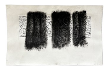 11346 - Συρογιαννοπούλου Ερμιόνη 