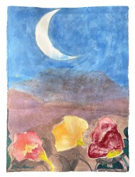 9895 - Charos Manolis 