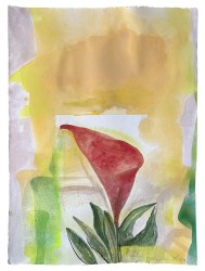 9896 - Charos Manolis 