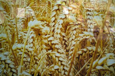 EX Braga 150925 069 1