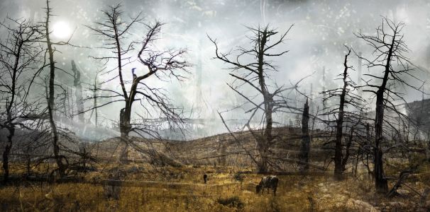 Μεταξοτυπίες / Giclée Print - Μεταξοτυπίες / Giclée Print -