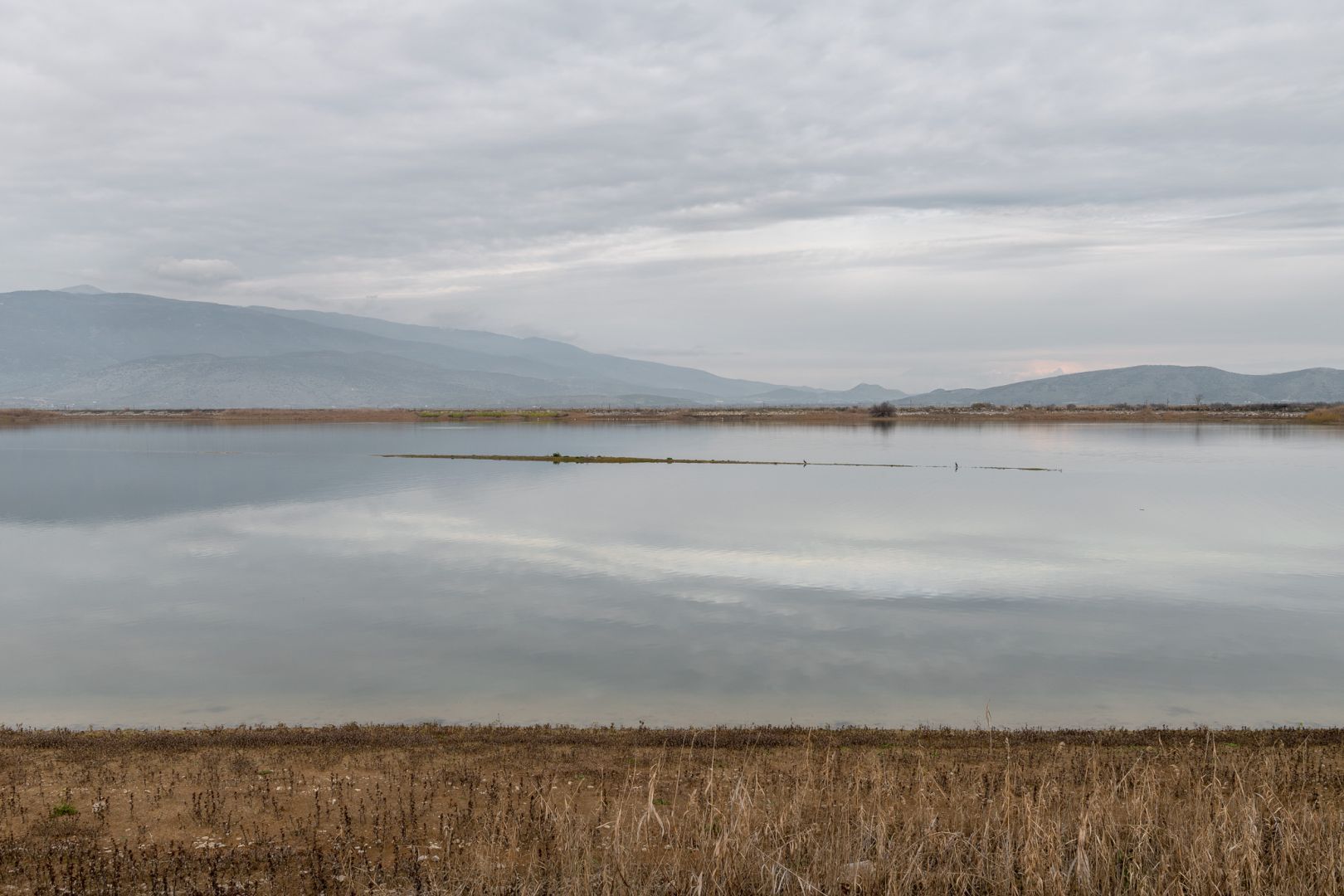Παπαδοπούλου Ρέα - Παπαδοπούλου Ρέα -