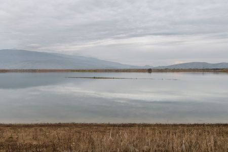 Φωτογραφία - Φωτογραφία -