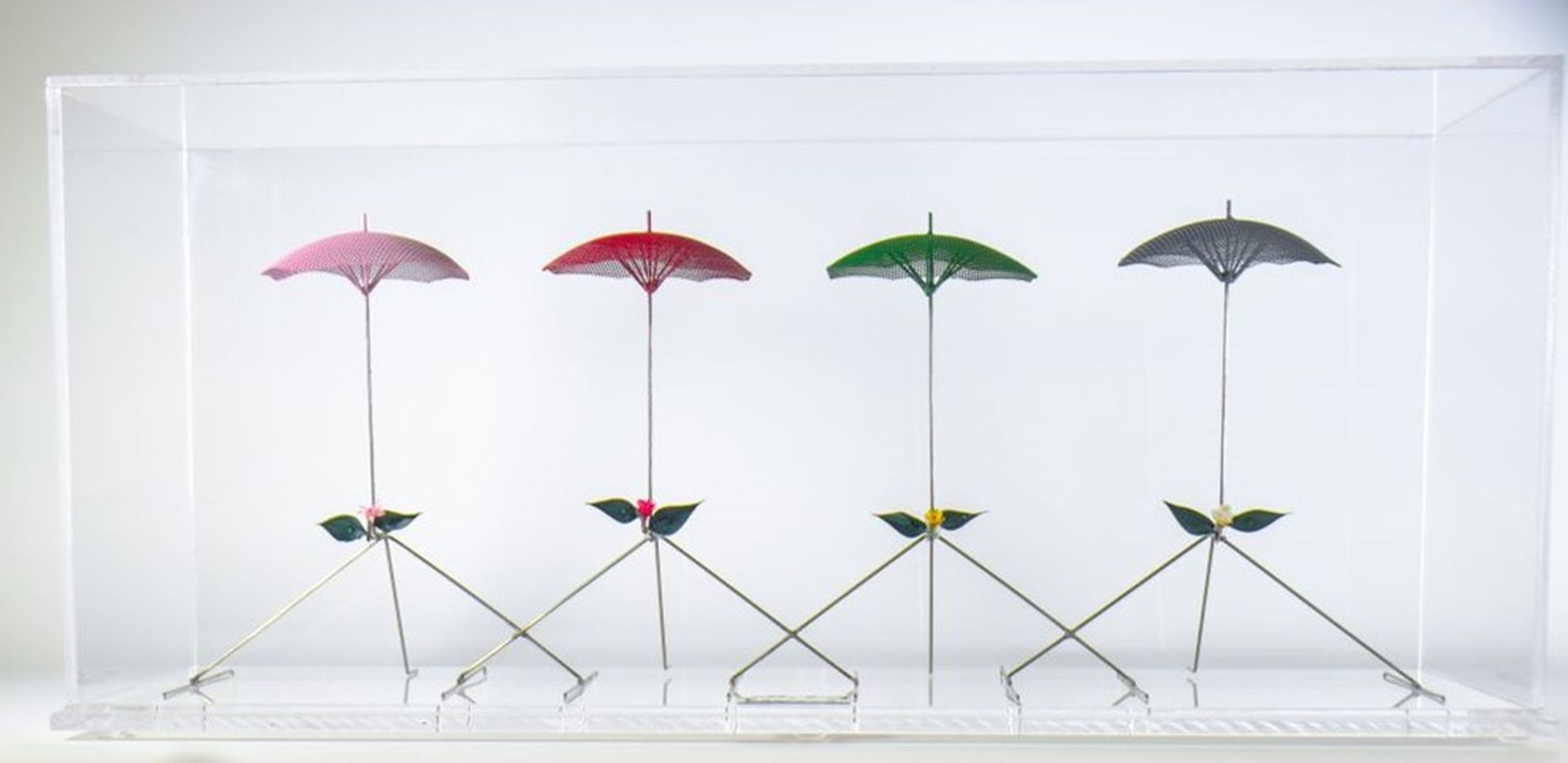 Zongolopoulos George - Zongolopoulos George -